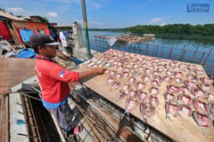 Seafood prices seen to spike during Holy Week due to increased demand